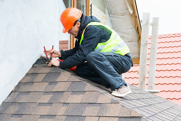 Roof Gutter Cleaning in Black Forest, CO