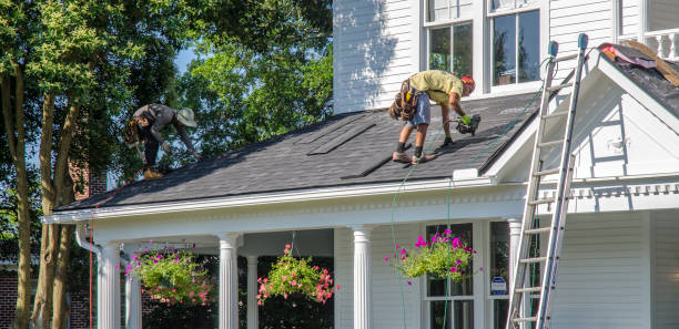 Best Roof Gutter Cleaning  in Black Forest, CO